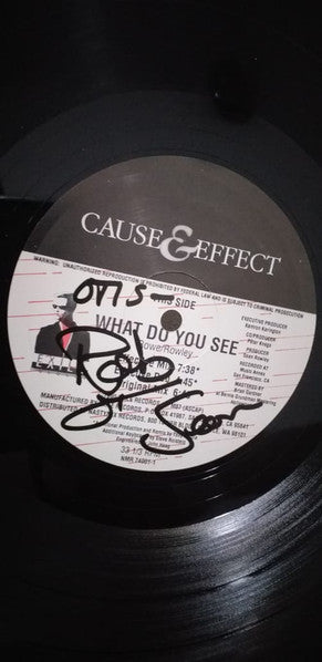 Cause & Effect - What Do You See (12") [US] 1st (Near Mint (NM or M-))