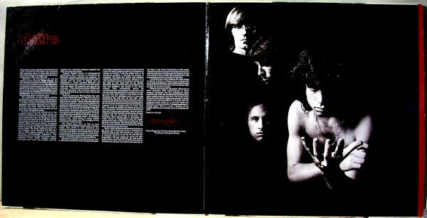 The Doors - The Best Of The Doors (LP) [Europe] 1985 RP (Near Mint (NM or M-))