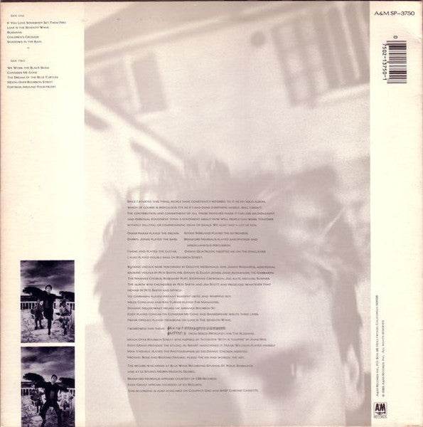 Sting - The Dream Of The Blue Turtles (LP) [US] 1st (Very Good Plus (VG+))