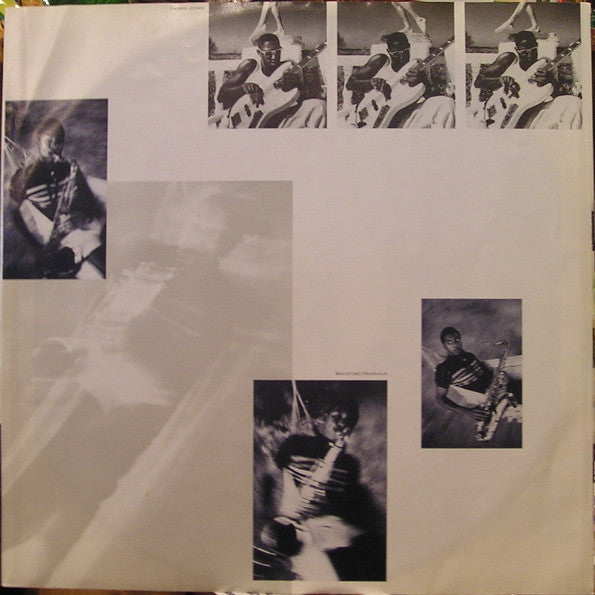 Sting - The Dream Of The Blue Turtles (LP) [US] 1st (Very Good Plus (VG+))