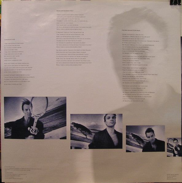 Sting - The Dream Of The Blue Turtles (LP) [US] 1st (Very Good Plus (VG+))