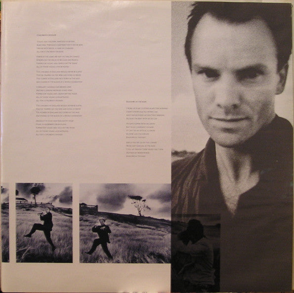 Sting - The Dream Of The Blue Turtles (LP) [US] 1st (Very Good Plus (VG+))
