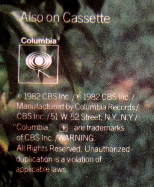 Billy Joel - The Nylon Curtain