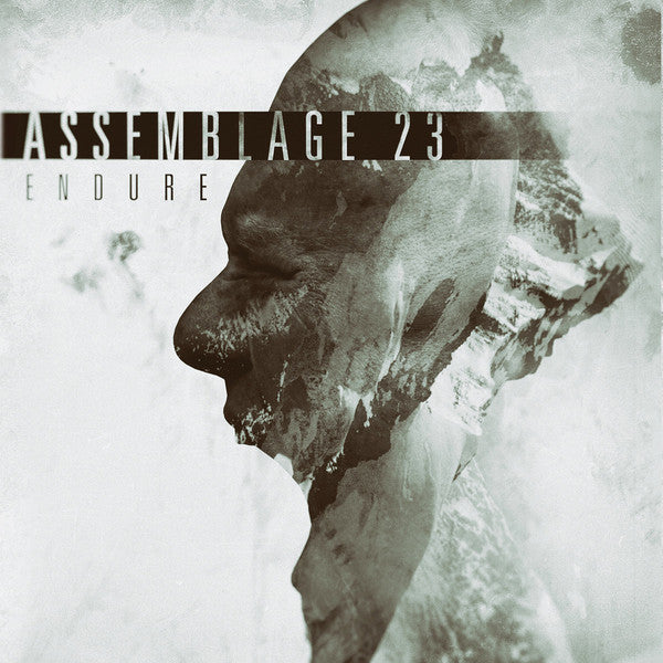 Assemblage 23 - Endure (LP) [US] 1st (Near Mint (NM or M-))