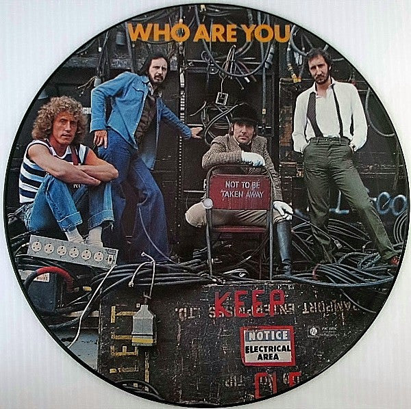 The Who - Who Are You (1978 Pictured Disc)