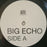 The Morning Benders - Big Echo (LP) [US] 1st (Near Mint (NM or M-))