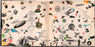 Led Zeppelin - Led Zeppelin III (LP) [US] 1st (Very Good Plus (VG+))