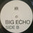 The Morning Benders - Big Echo (LP) [US] 1st (Near Mint (NM or M-))