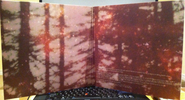 Sigur Rós - Valtari (LP) [US] 1st (Near Mint (NM or M-))