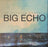 The Morning Benders - Big Echo (LP) [US] 1st (Near Mint (NM or M-))