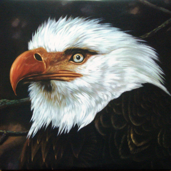 Mogwai - The Hawk Is Howling (LP) [US] 1st (Near Mint (NM or M-))