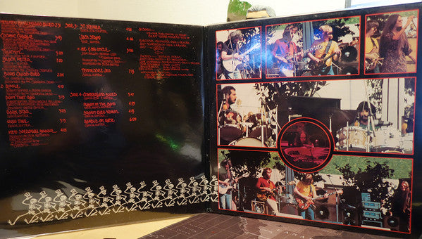 The Grateful Dead - What A Long Strange Trip It's Been (The Best Of The Grateful Dead) (LP) [US] 1st