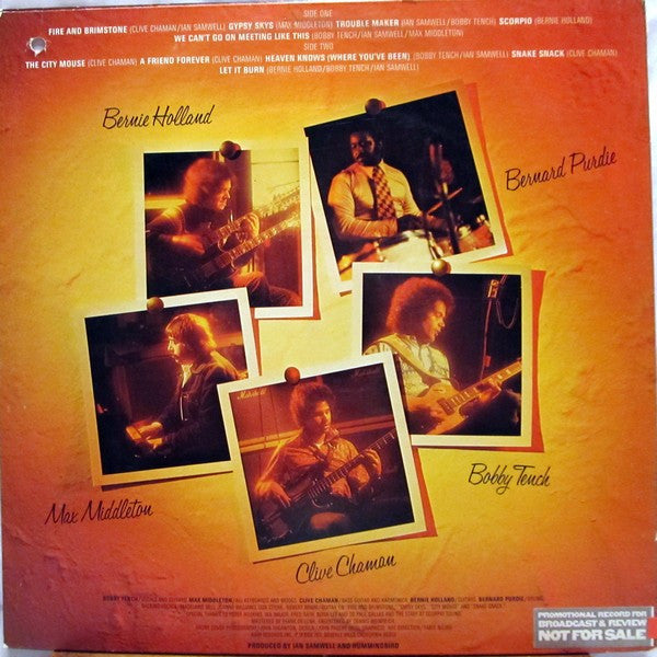 Hummingbird - We Can't Go On Meeting Like This (LP) [US] 1st