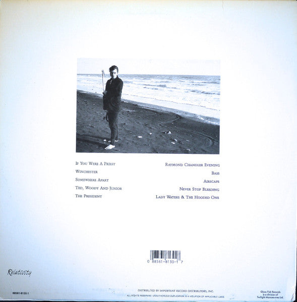 Robyn Hitchcock & The Egyptians - Element Of Light (LP) [US] 1st (Very Good Plus (VG+))