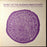 Various - Music Of The Russian Middle East - Recorded In Azerbaijan, Uzbek, Bukhara, Armenia (LP) [US] 1961 RP (Very Good Plus (VG+))