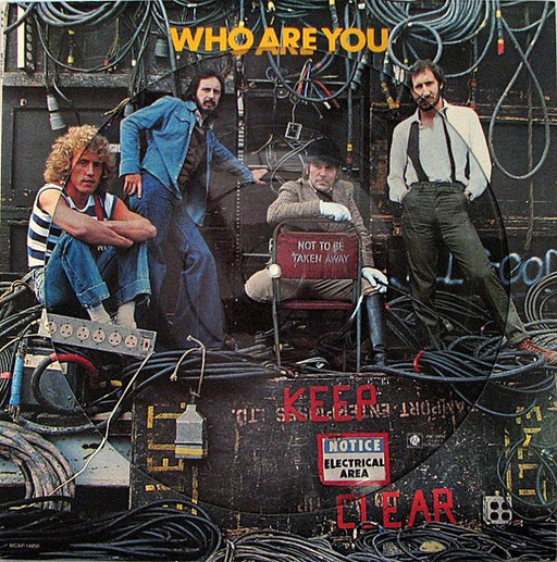 The Who - Who Are You (1978 Pictured Disc)