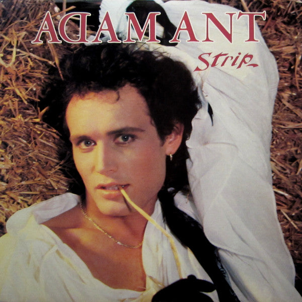 Adam Ant - Strip (LP) [US] 1st (Mint (M))