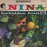 Nina Simone - Forbidden Fruit (1965 Press)