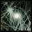 Exitmusic - Passage (LP) [US] 1st (Near Mint (NM or M-))