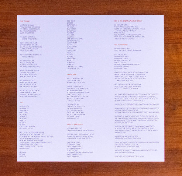 Dan Deacon - America (LP) [US] 1st (Very Good Plus (VG+))