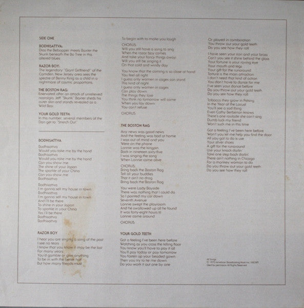 Steely Dan - Countdown To Ecstasy (LP) [US] 1980 RP (Near Mint (NM or M-))
