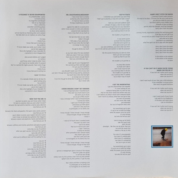 theaudience - theaudience (LP) [UK] 2022 RP (Near Mint (NM or M-))