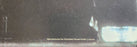 Frank Sinatra - She Shot Me Down (LP) [US] 1st (Mint (M))