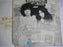 Tyrannosaurus Rex - Unicorn (LP) [US] 1972 RP (Very Good Plus (VG+))