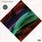 Wild Beasts - Smother (LP) [US] 1st (Near Mint (NM or M-))