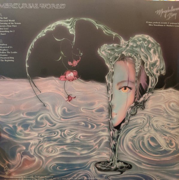 Magdalena Bay - Mercurial World  (LP) [US] 1st (Near Mint (NM or M-))