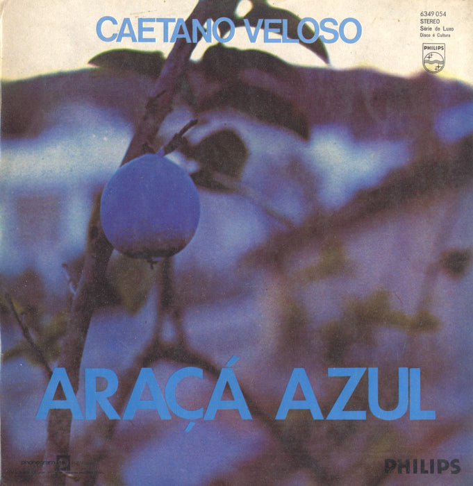 Araçá Azul (1st, Brazil)