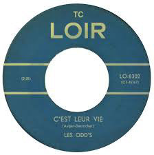 C'est leur vie / Ann 7"